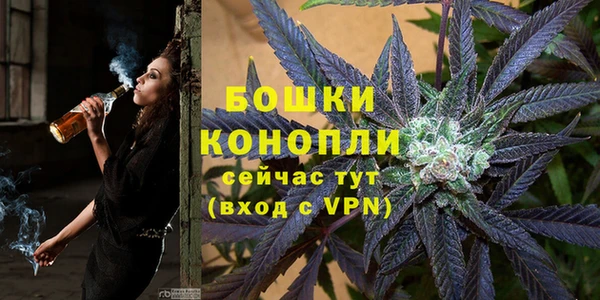 mdpv Домодедово
