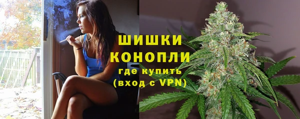 хмурый Верхний Тагил