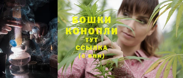 мдпв Богородицк