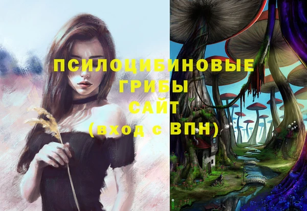 сатива Новочеркасск