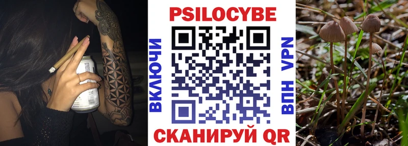 гидра ссылки  Боровск  Псилоцибиновые грибы Magic Shrooms  наркотики 